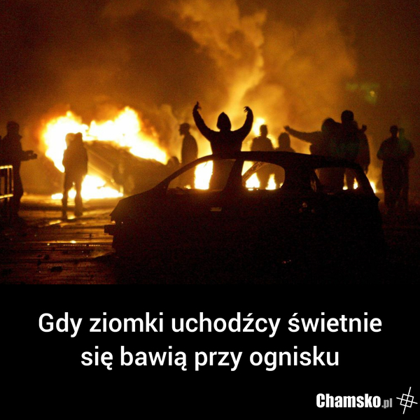 Ognisko