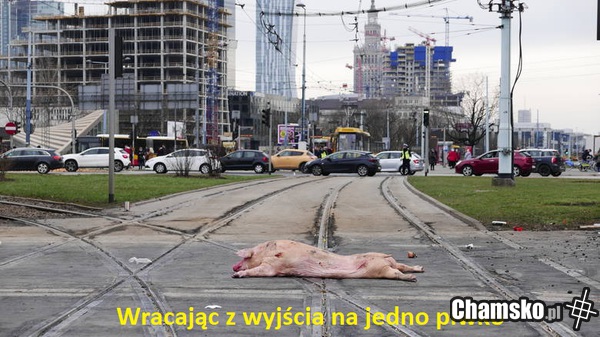 Cho na jedno piwko