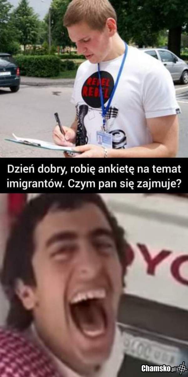 Ankieta