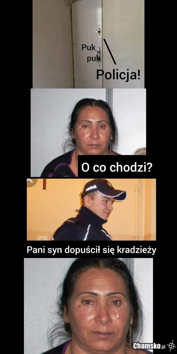 Wizyta