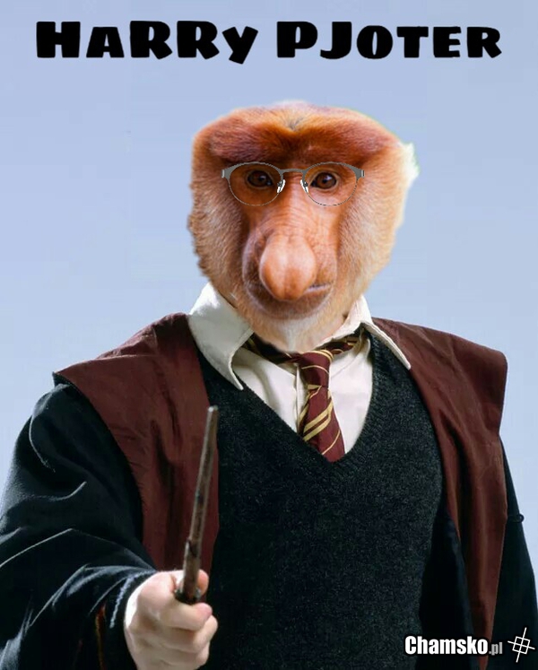 Harry Pjoter i bojowe zadanie