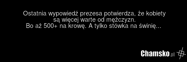 Ostatnia wypowiedź prezesa potwierdza, że kobiety są więcej warte od mężczyzn. Bo aż 500+ na krowę. A tylko stówka na świnię...