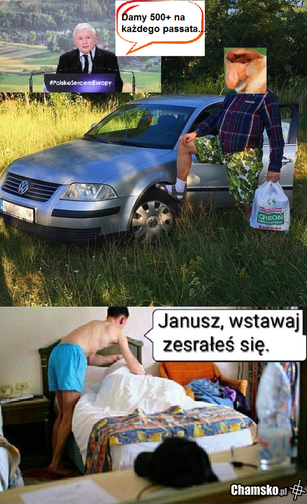 500+ na Passata