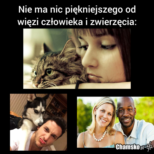 Więź