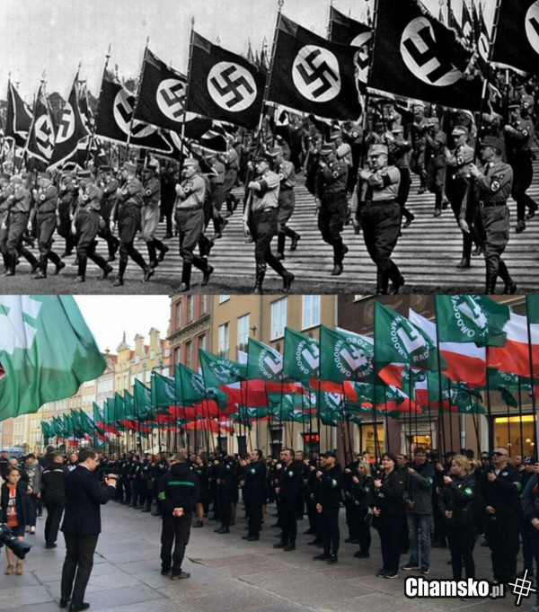 Znajdź röżnice