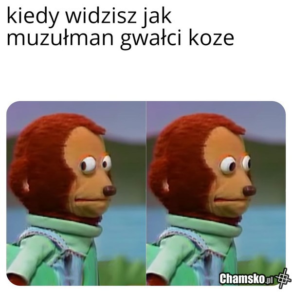 Przechodzisz przez islamską ulicę...