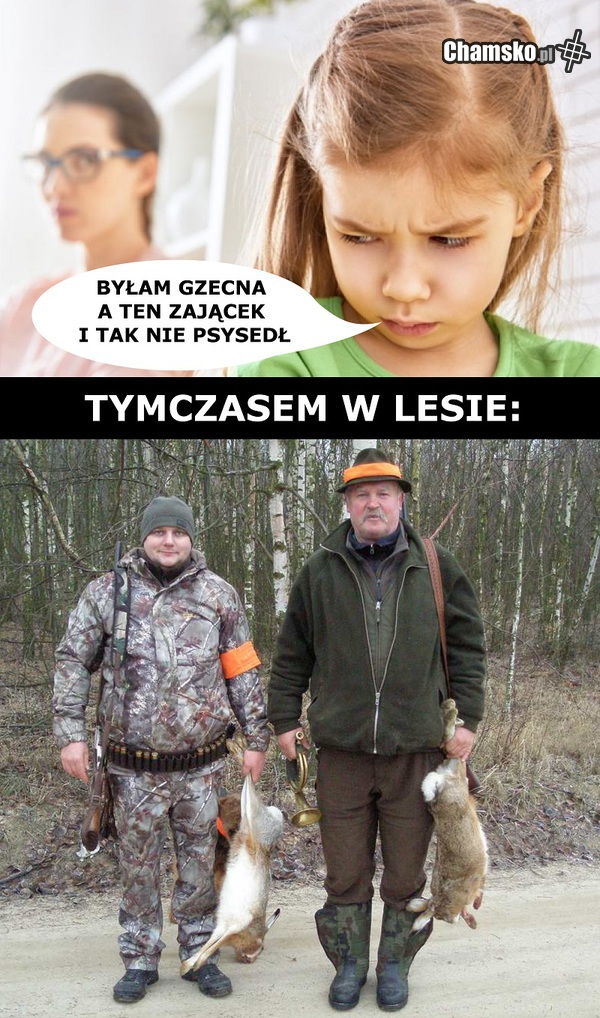 Zającek