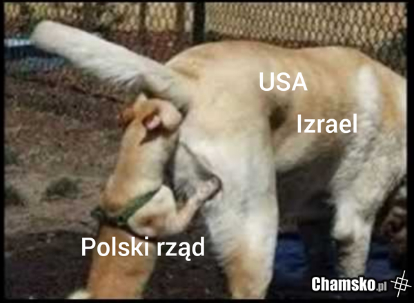 W skrócie