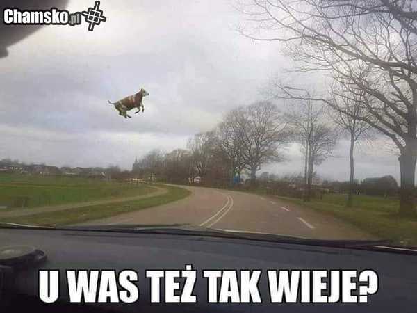 Wieje ?