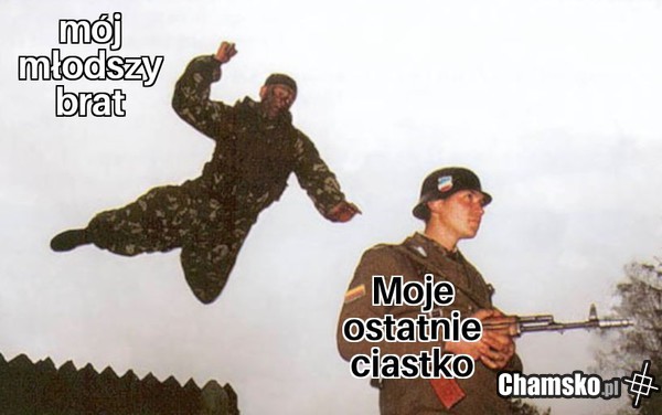 Ciasteczka