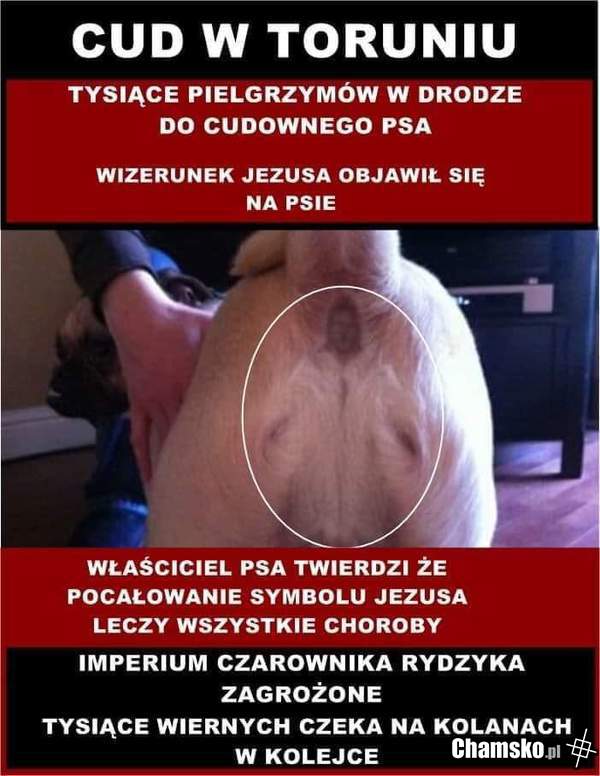 Objawienie