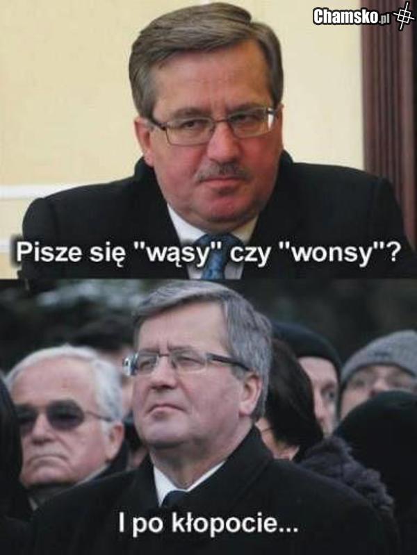 Wąs