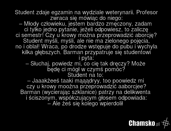 Student zdaje egzamin na wydziale weterynarii. Profesor zwraca się mówiąc do niego: – Młody człowieku, jestem bardzo zmęczony, zadam ci tylko jedno pytanie, jeżeli odpowiesz, to zaliczę ci semestr! Czy u krowy można przeprowadzić aborcję? Student myśli, myśli, ale nie ma zielonego pojęcia, no i obl…