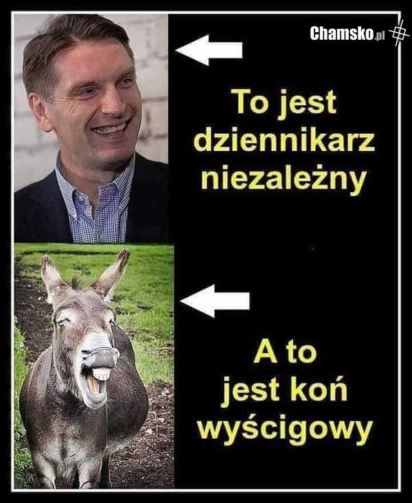 Rudy i uparty