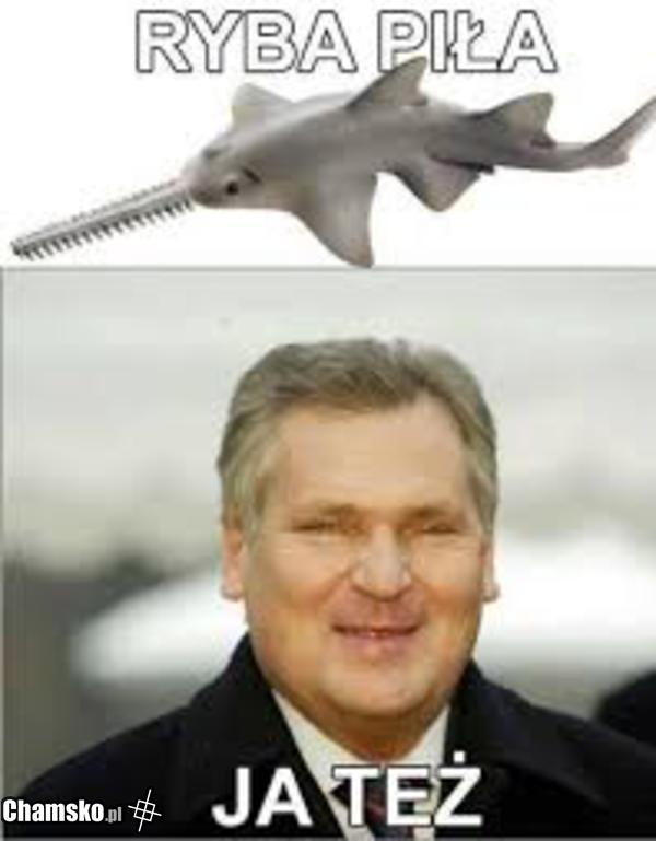Kwachu dobry chłopak cz. III