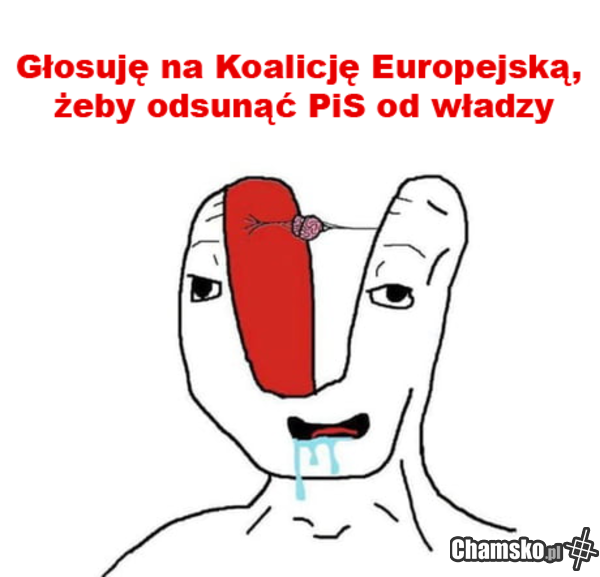 Koalicja europejska