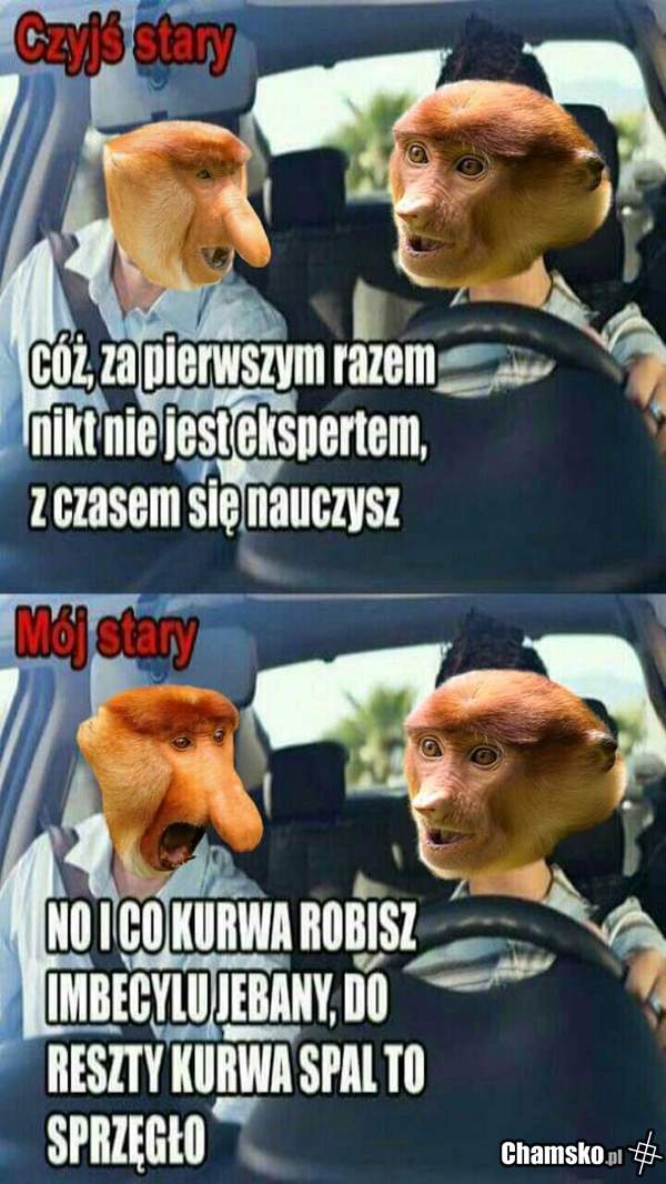 Prawko za pierwszym razem