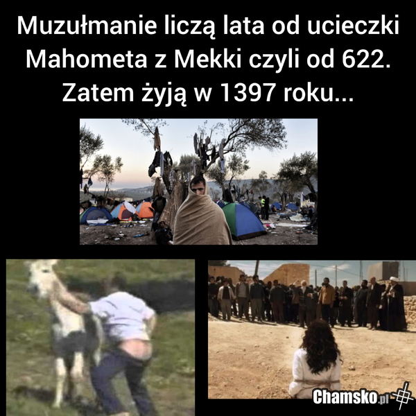 To wiele tłumaczy