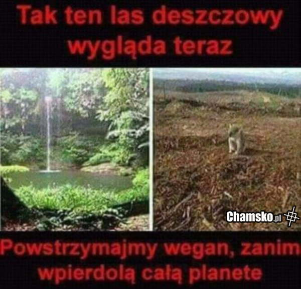 Weganie