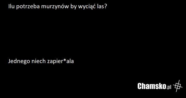 Murzyny