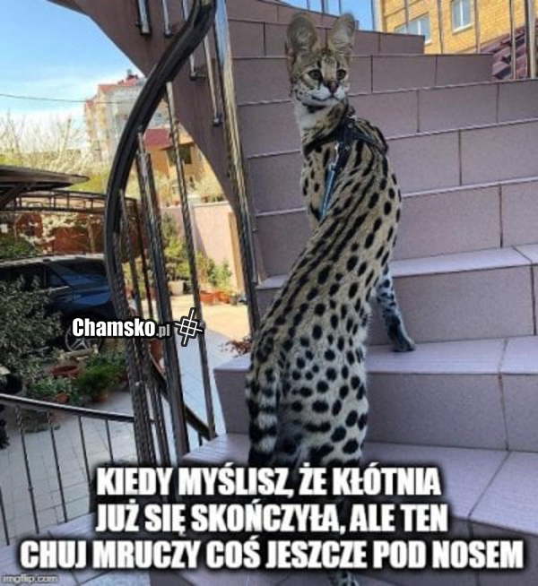 Kłótnia