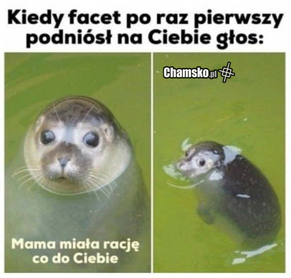 Zły facet