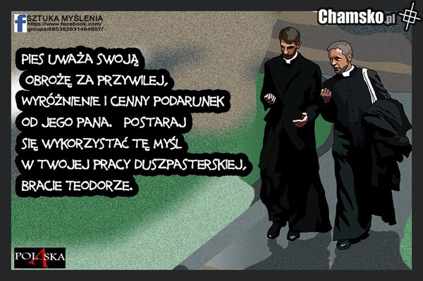 Co na to Koty?