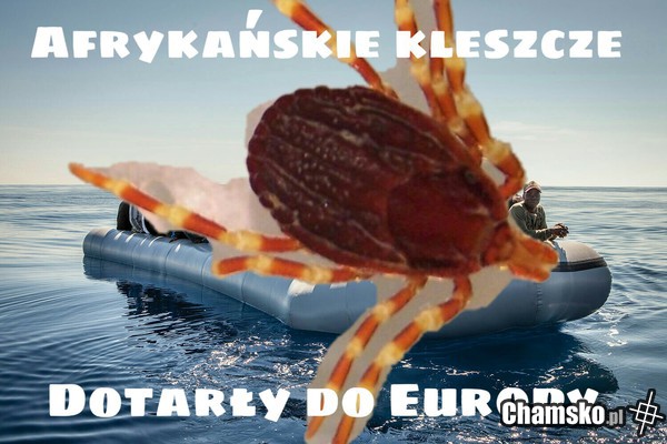 Soros przeciw państwom narodowym...