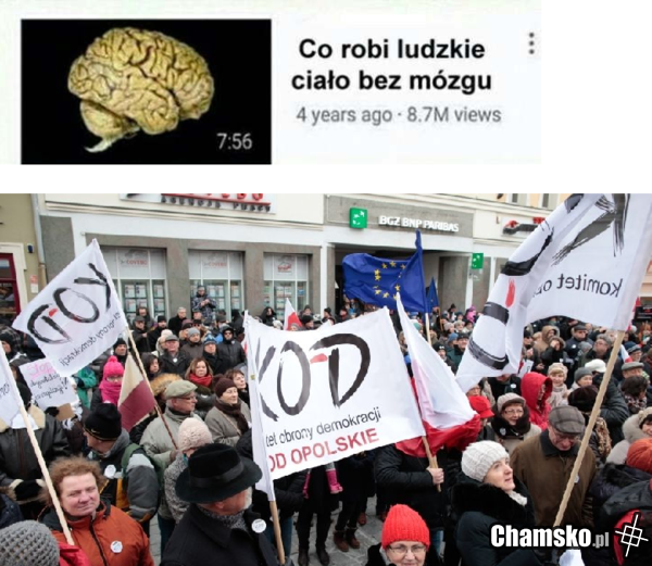 KOD cz. IV