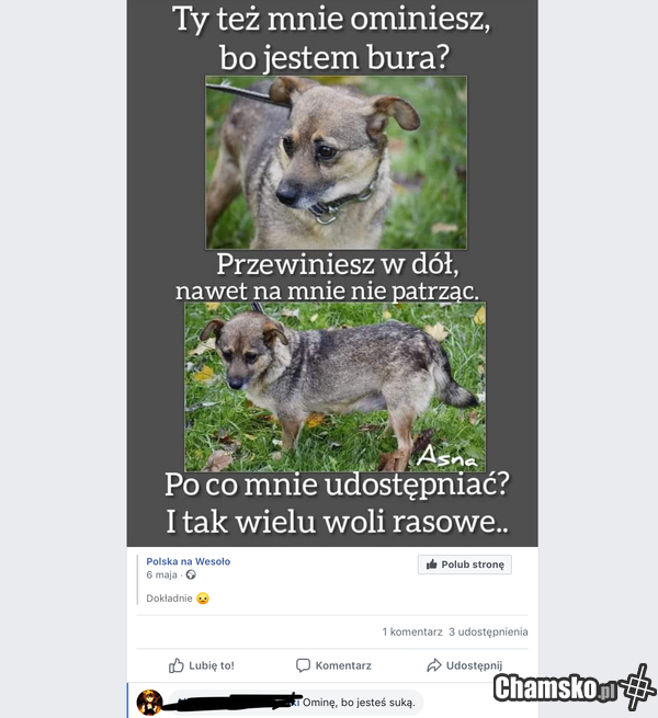 Takie życie