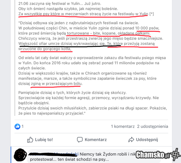 Zamieńcie Chińczycy na Niemcy a Psy na Żydzi
