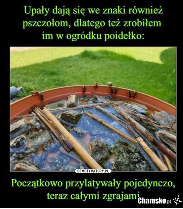 Wspierajmy tych, którzy wspierają nas :)