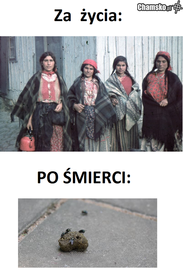 Reinkarnacja