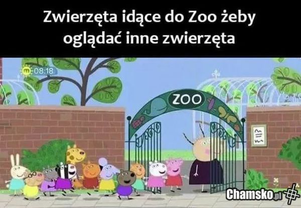 A to ci checa