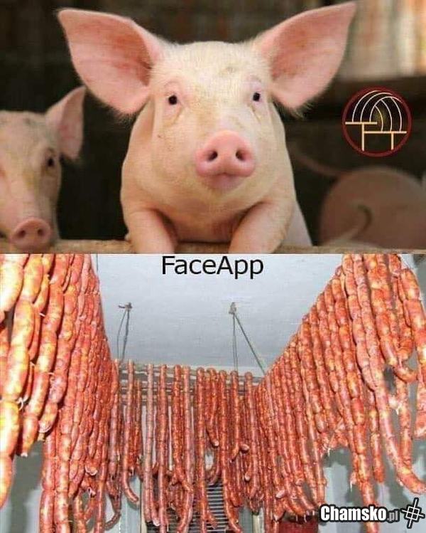 FaceApp