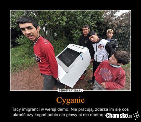 Imigranci