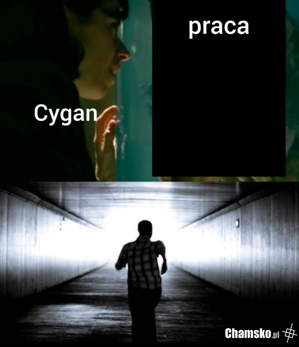 Cyganie i praca