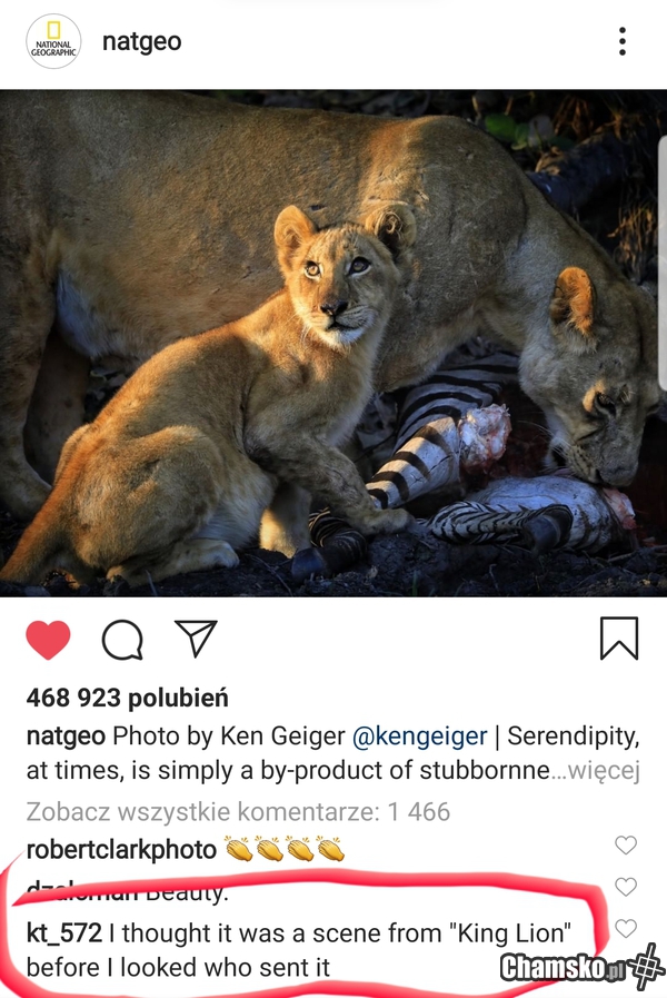 Król Lew