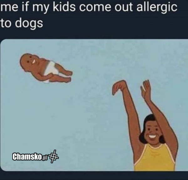 Alergia