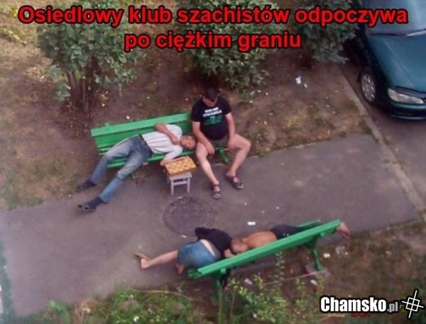 SZACHIŚCI