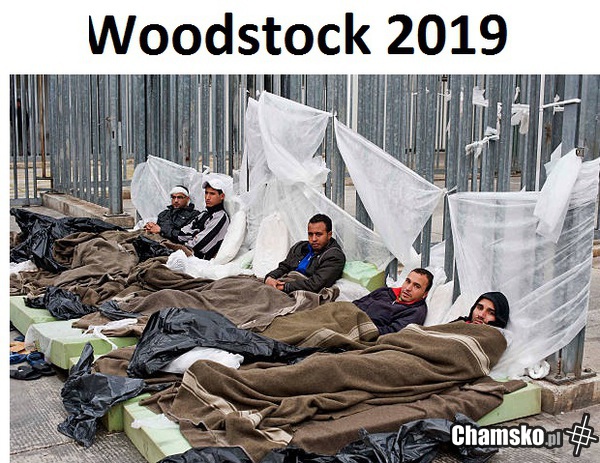 Woodstock 2019