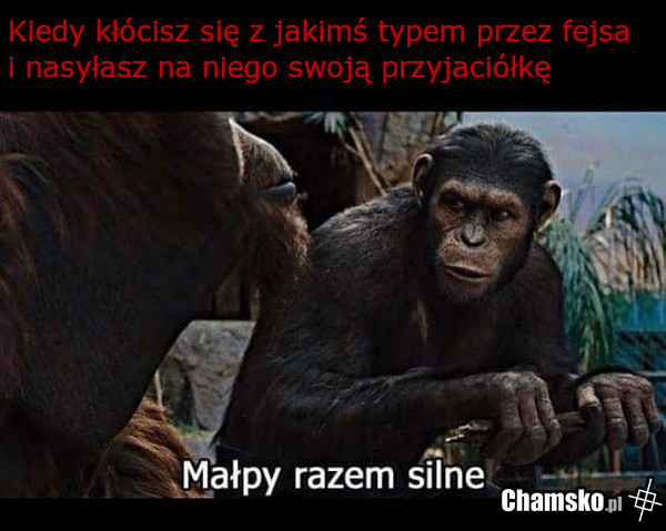 Typowa spina