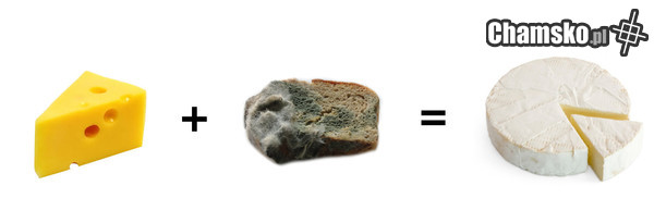 Ser pleśniowy