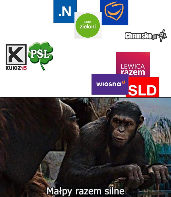 0_1_96561_Partie_razem_silne__przez_Pirz