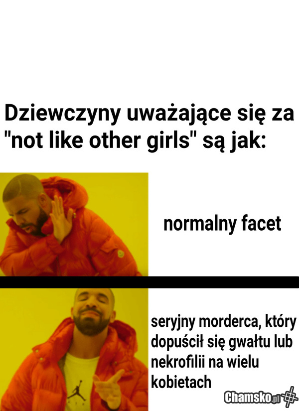 not-like-other-girls-chamsko-pl