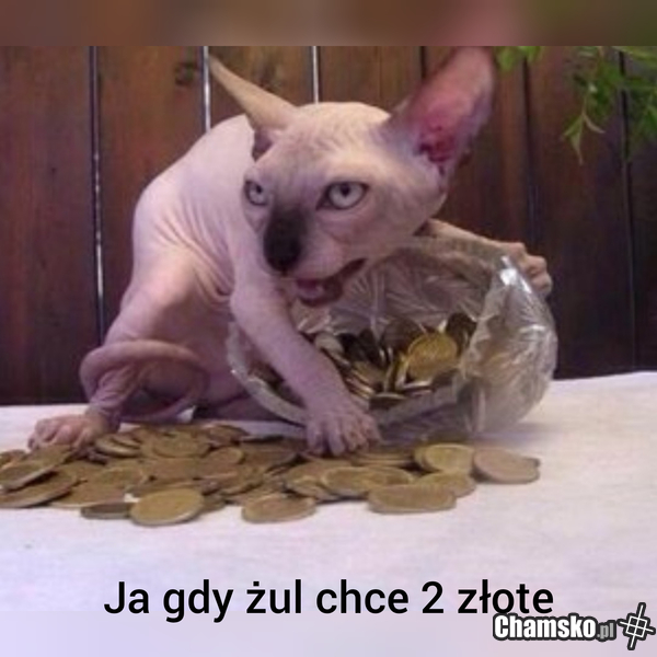 Księciuniu
