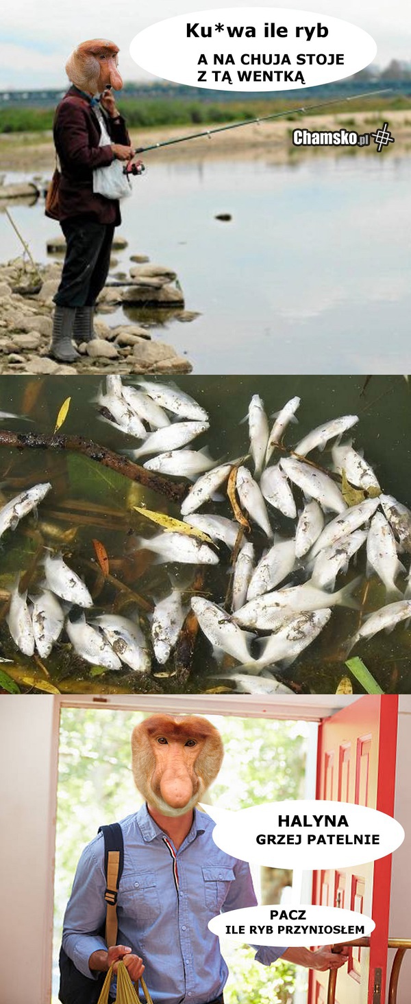 Udany połów