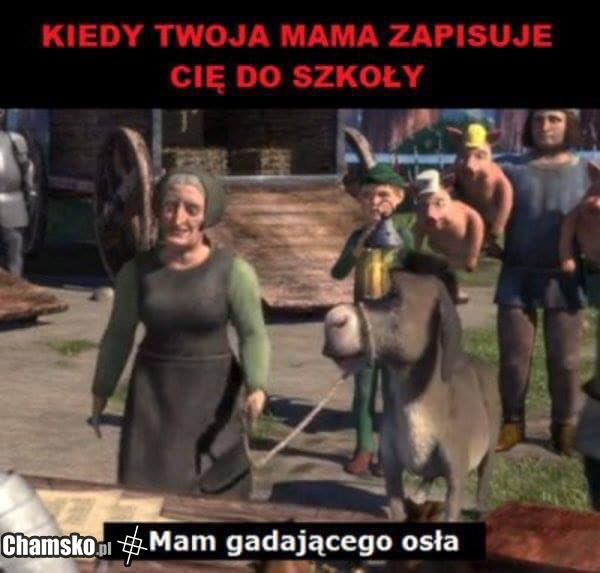 Szrek