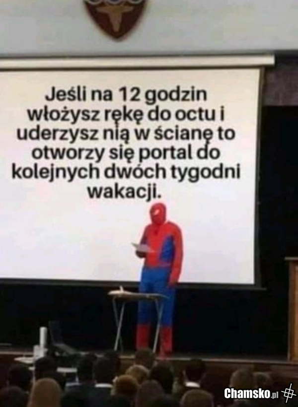 Dłuższe wakacje