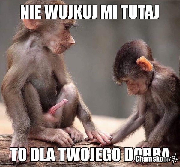 To dla Twojego dobra